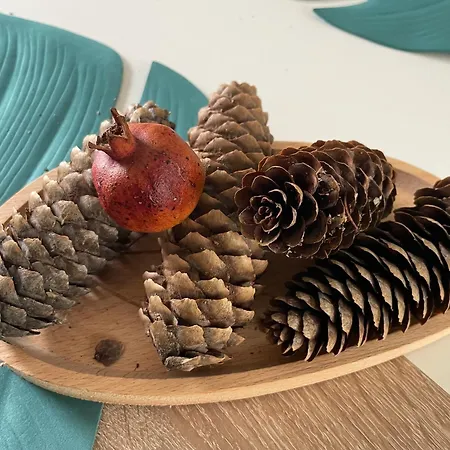 Csakmikishaz Harkany